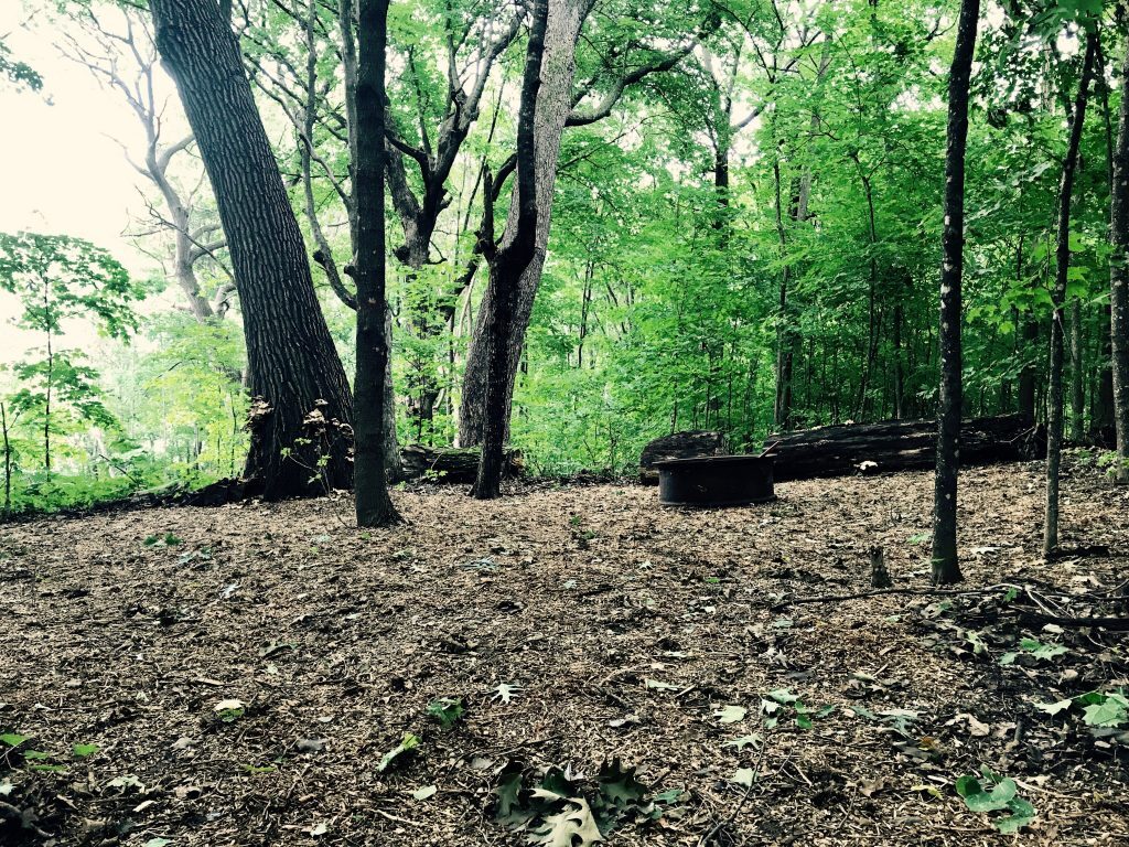 Wild Vines Campground