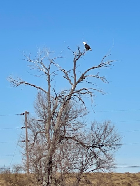 Sterling RV Park - The Landing, Sterling, Colorado