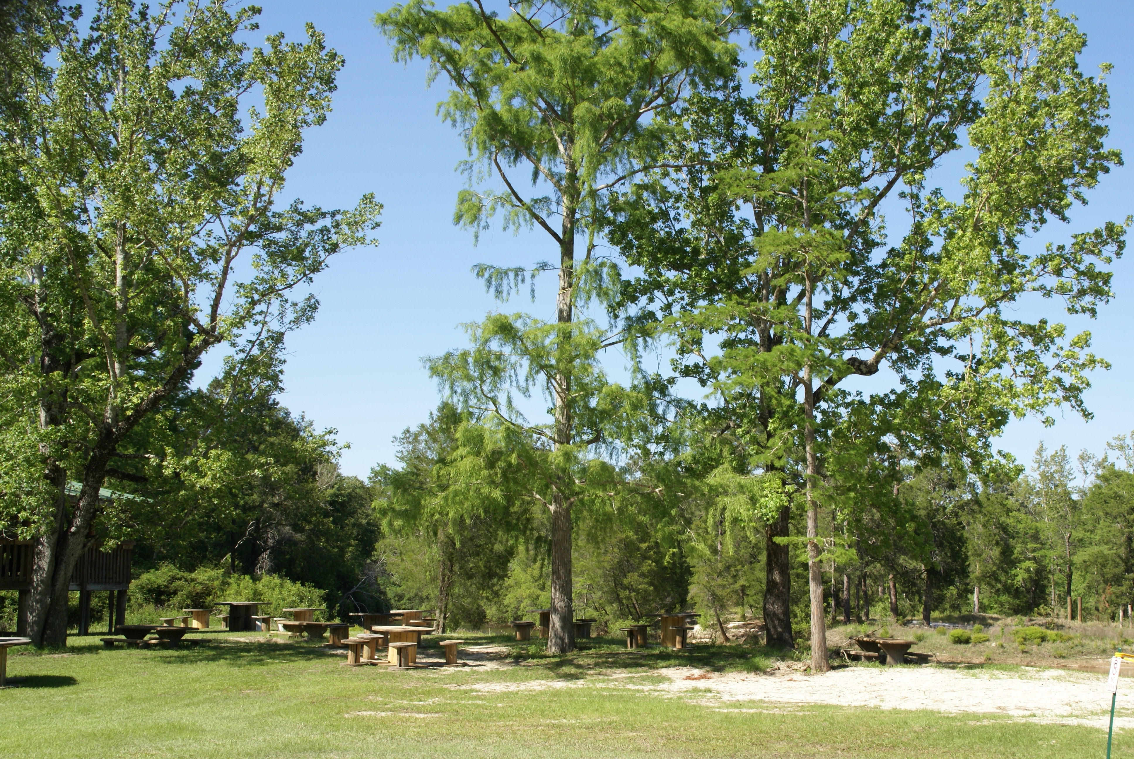 Sugar Sands Campground and Canoeing Outpost