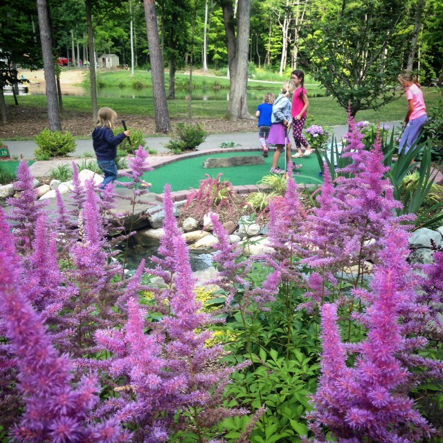 Triponds Family Camp Resort