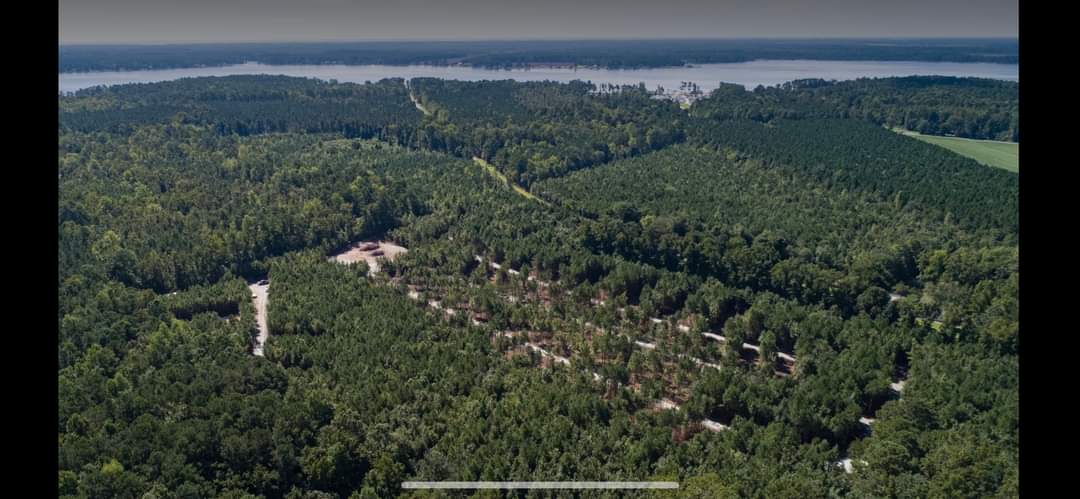 Natures Trace, Bayboro, North Carolina