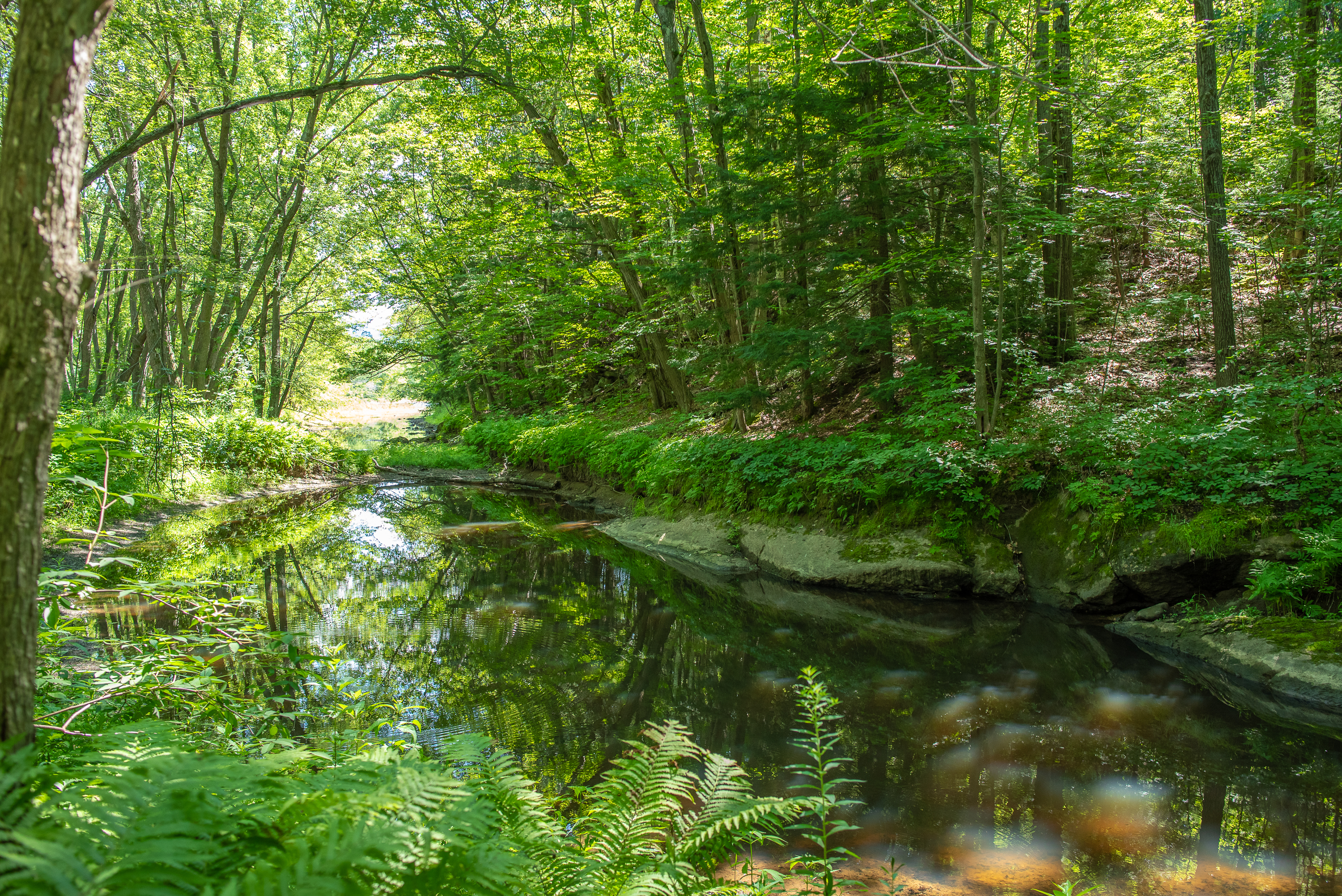 Timberland Campground