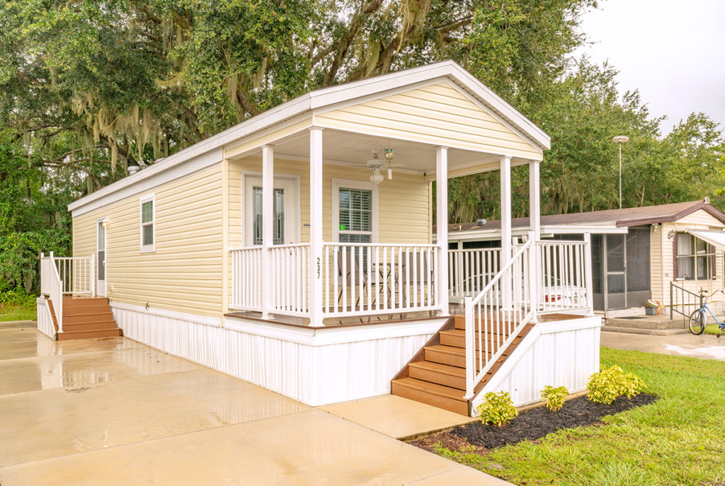 Big Tree (Age Restricted 55+)