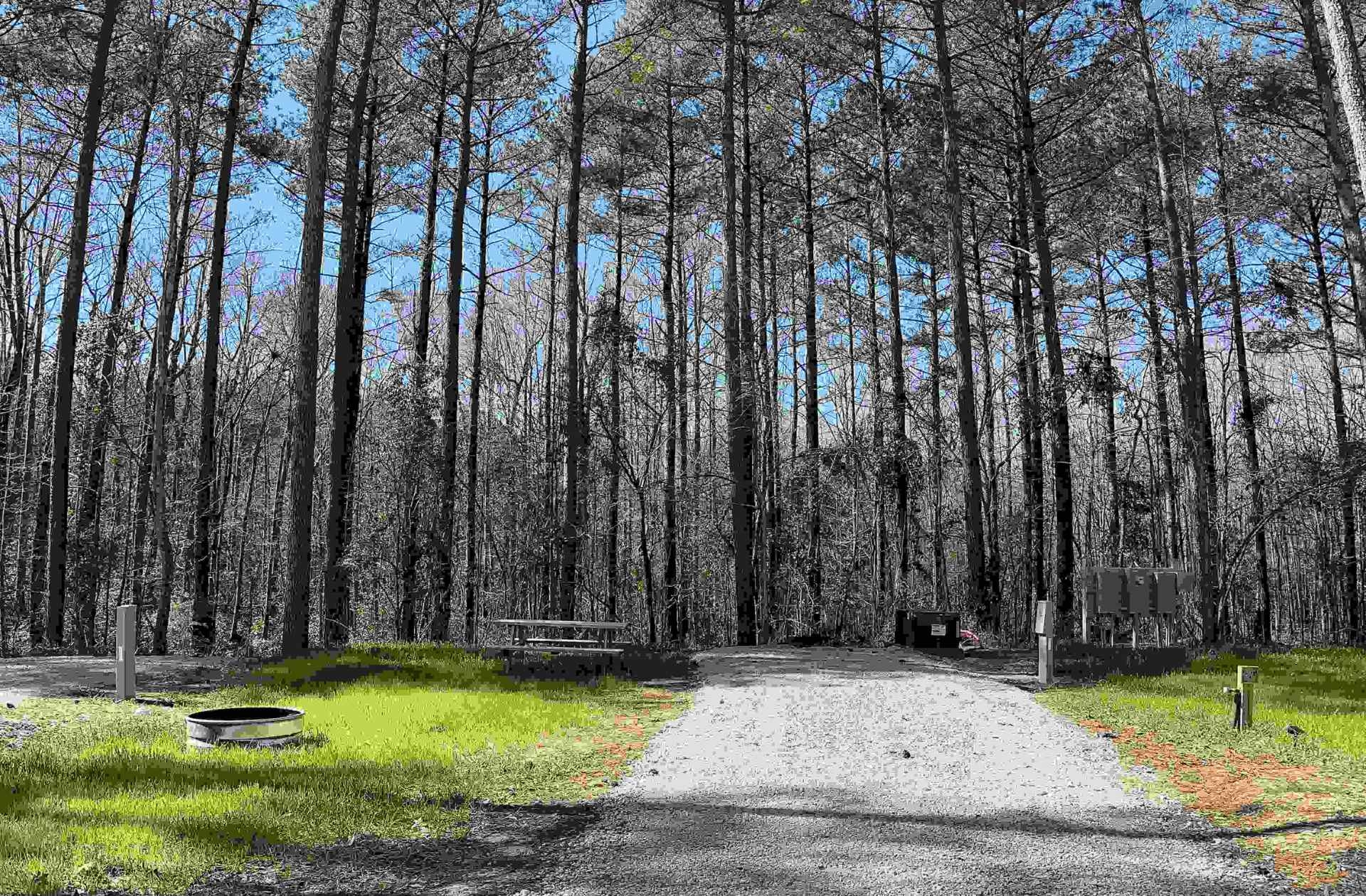 Outside Inn Campground, Santee, South Carolina