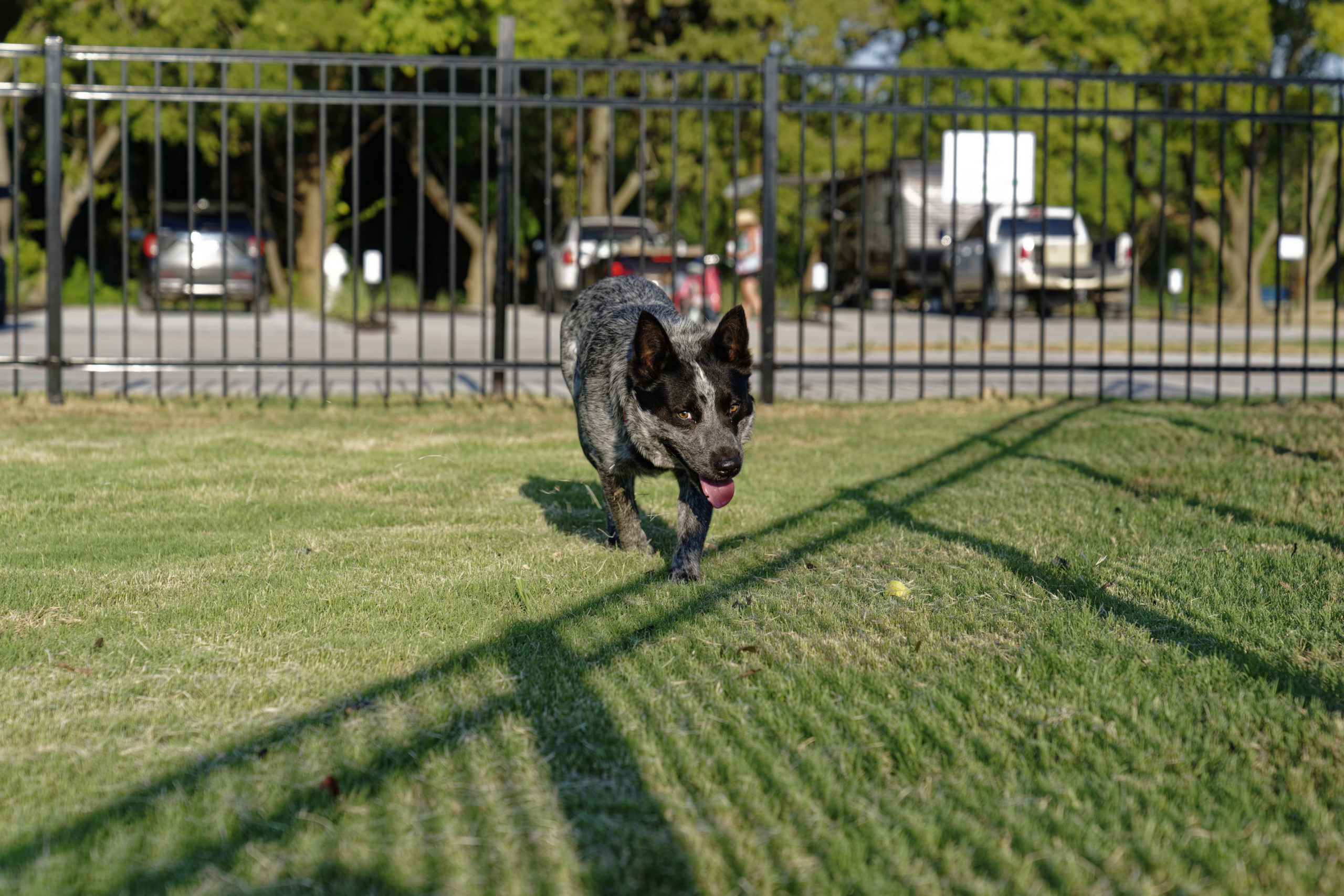The Palms at Lake Whitney RV Resort and Storage