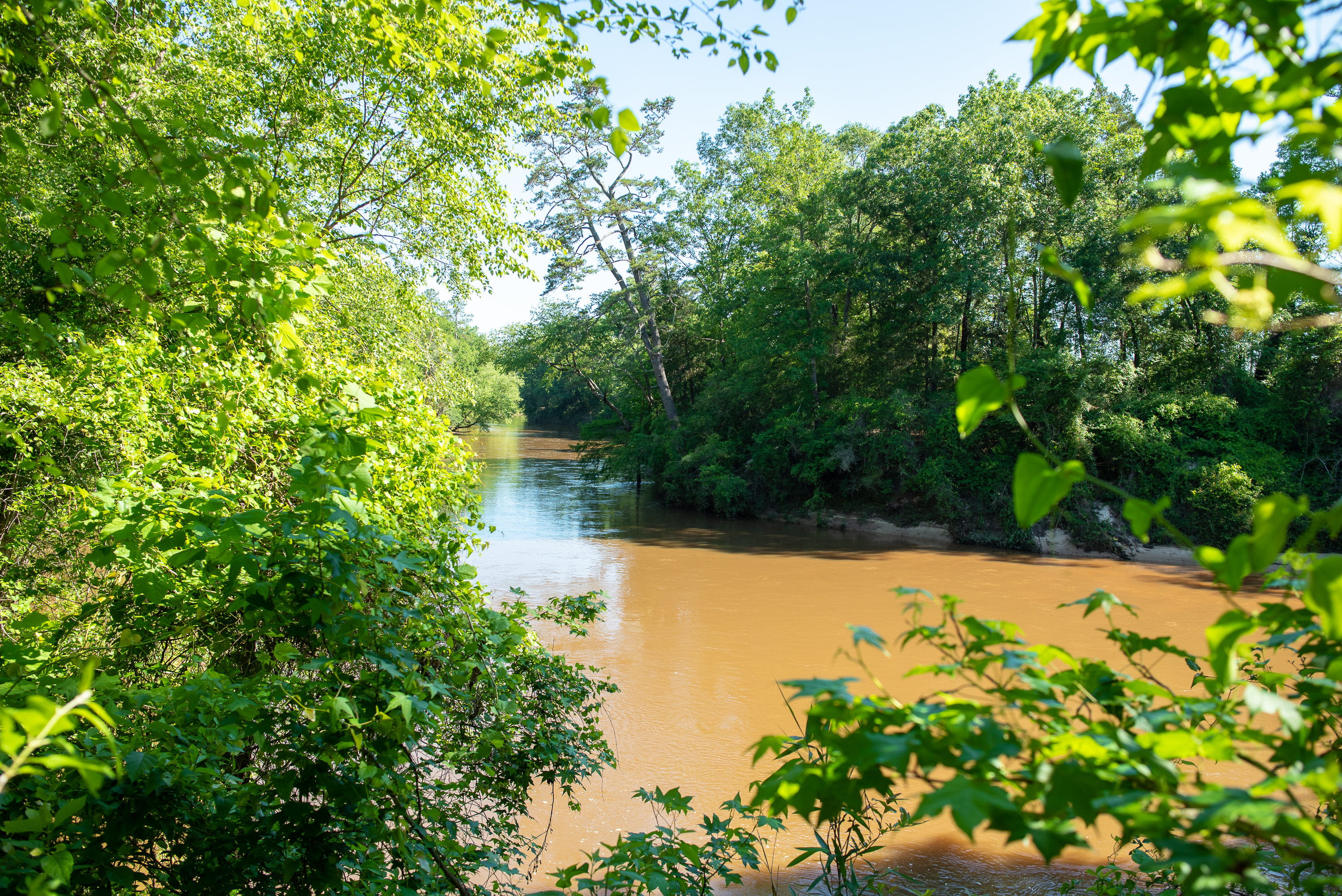Alabama Wildwood RV Park, Daleville, Alabama