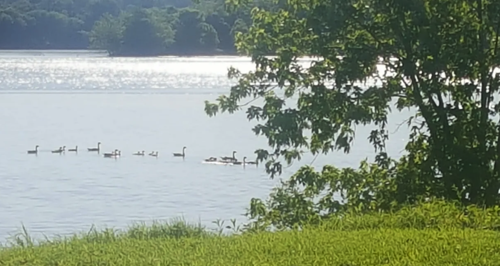 Birdsville Riverside RV Park, Smithland, KY