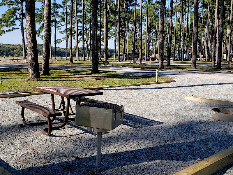 Pickwick Dam Campground, Savannah, Tennessee