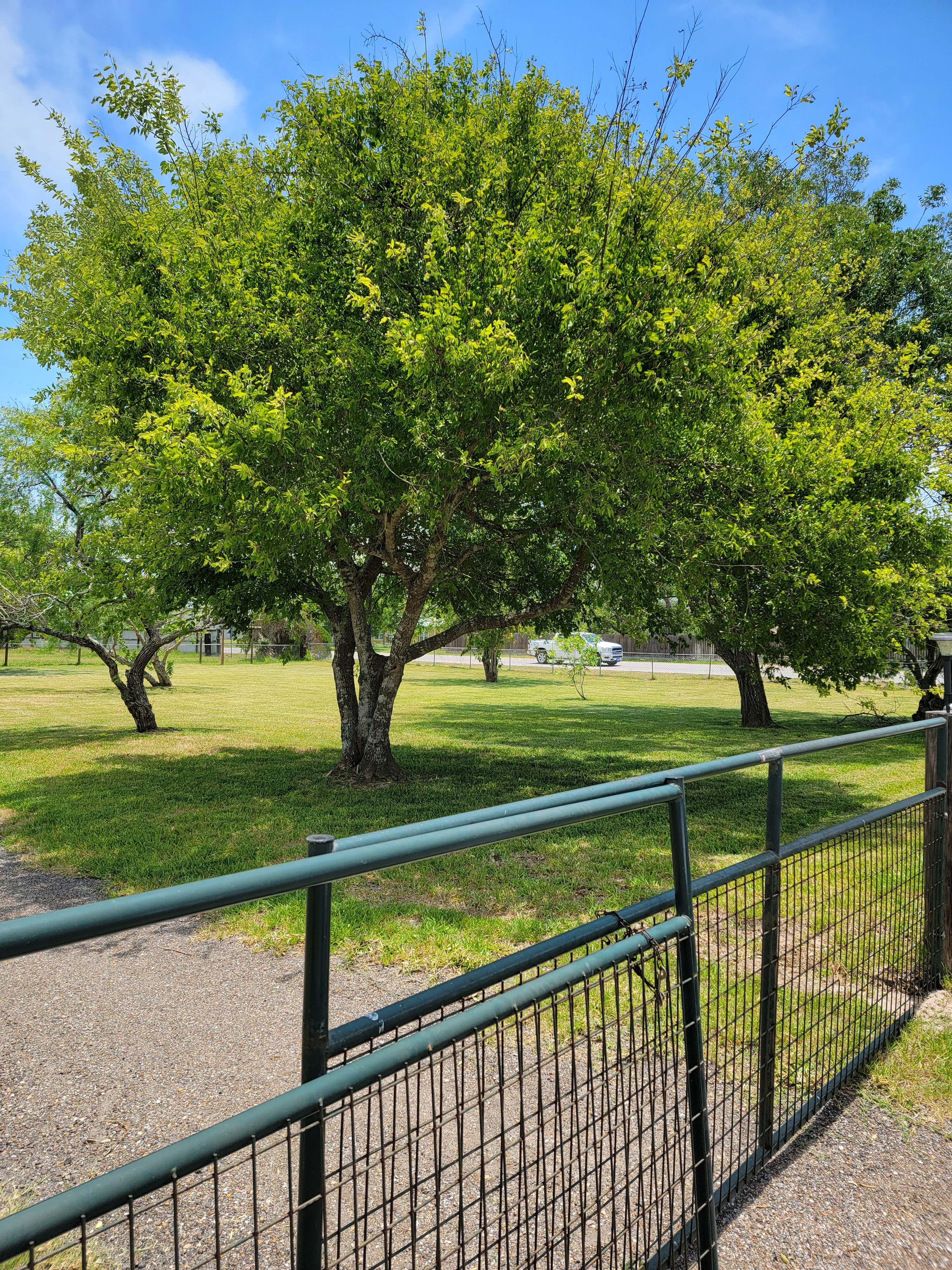 The Boat House RV Park, Aransas-Pass, Texas