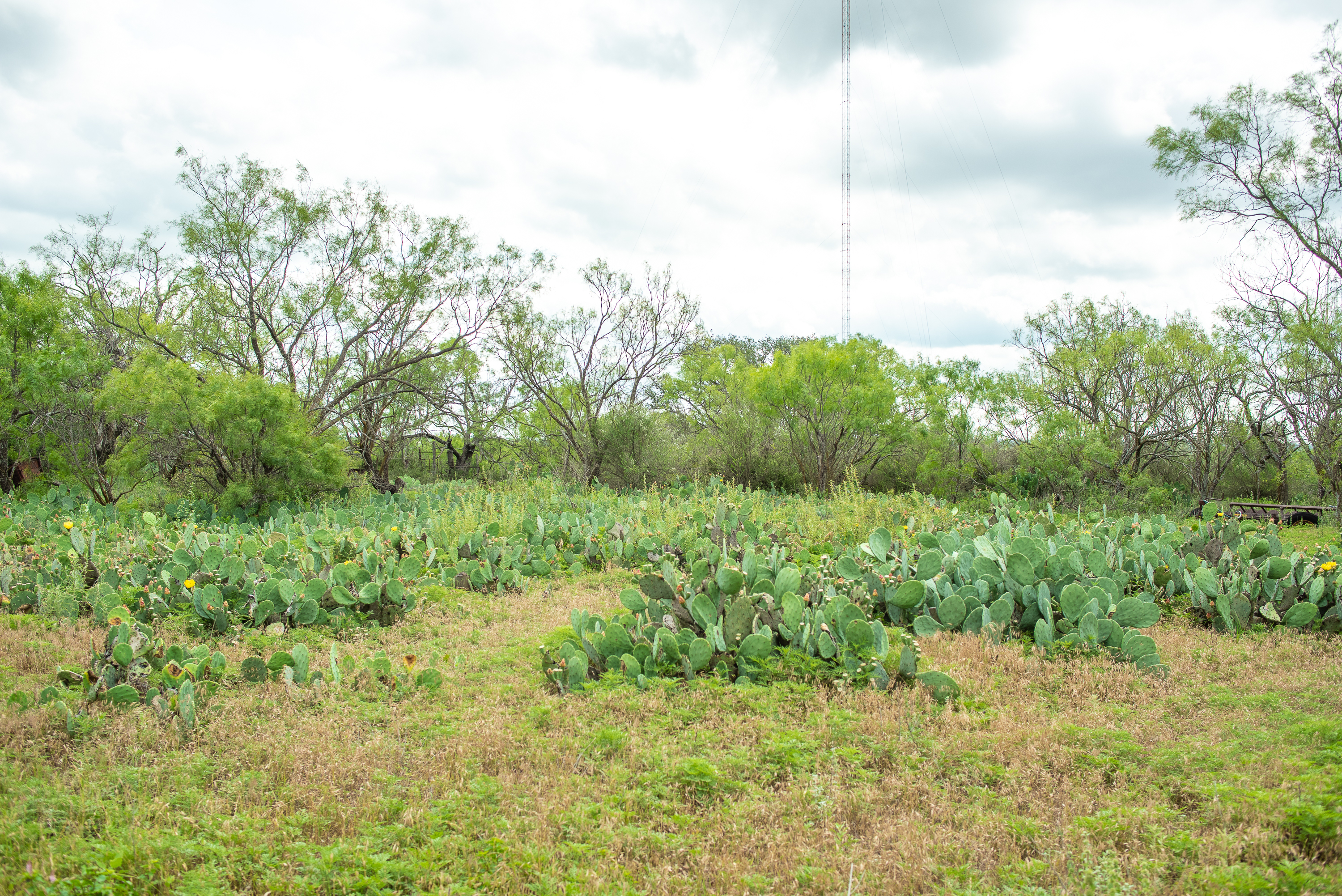 Heart of Texas RV Park