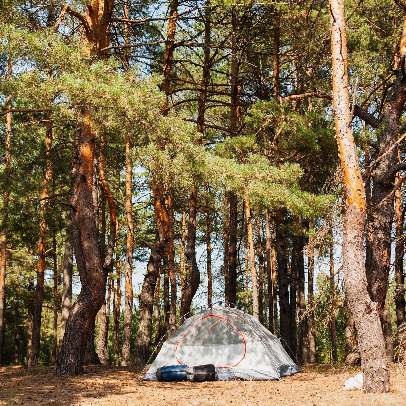 Wheelock Lake Campground