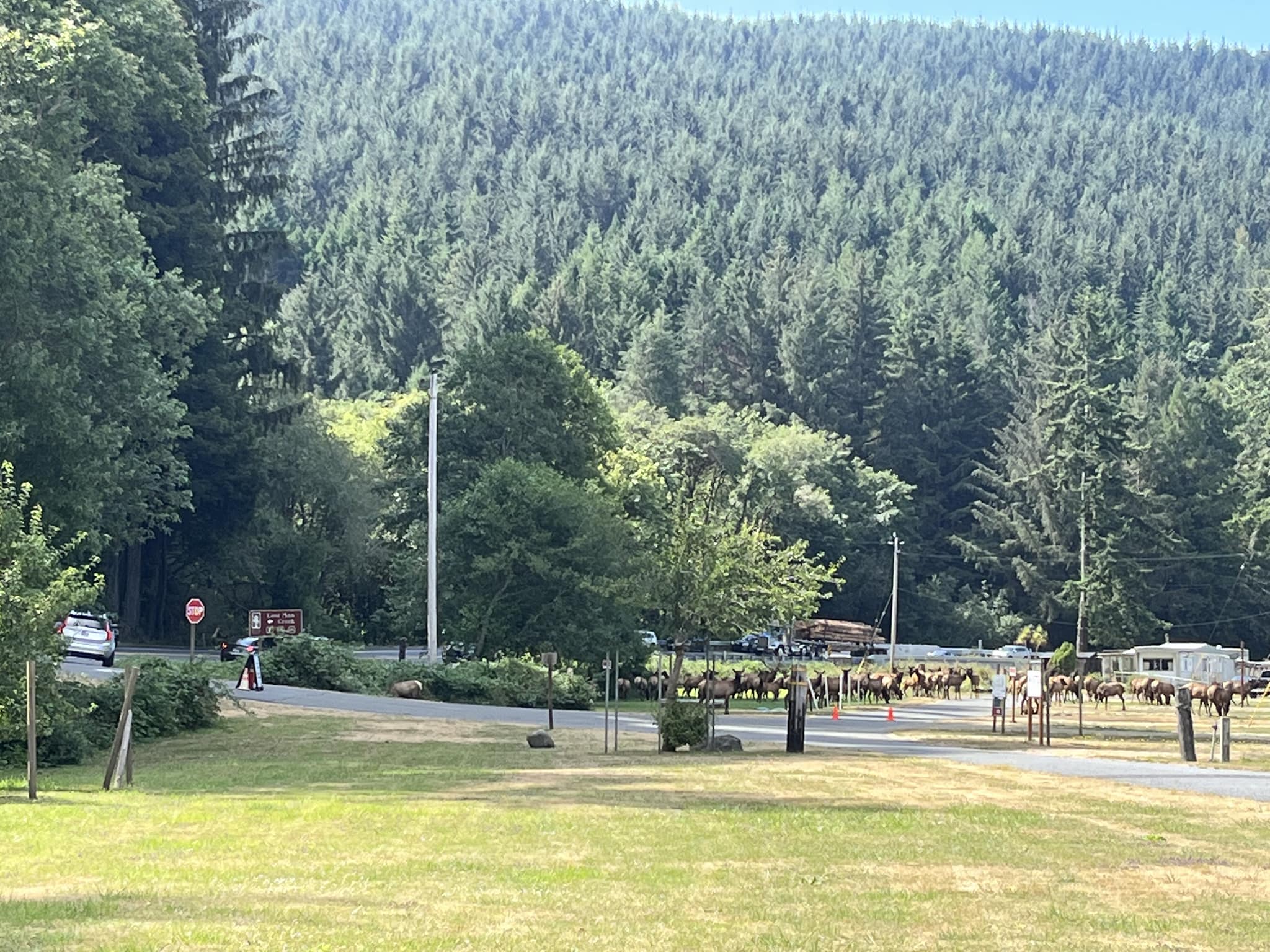 Heart of the Redwoods Cottages & RV