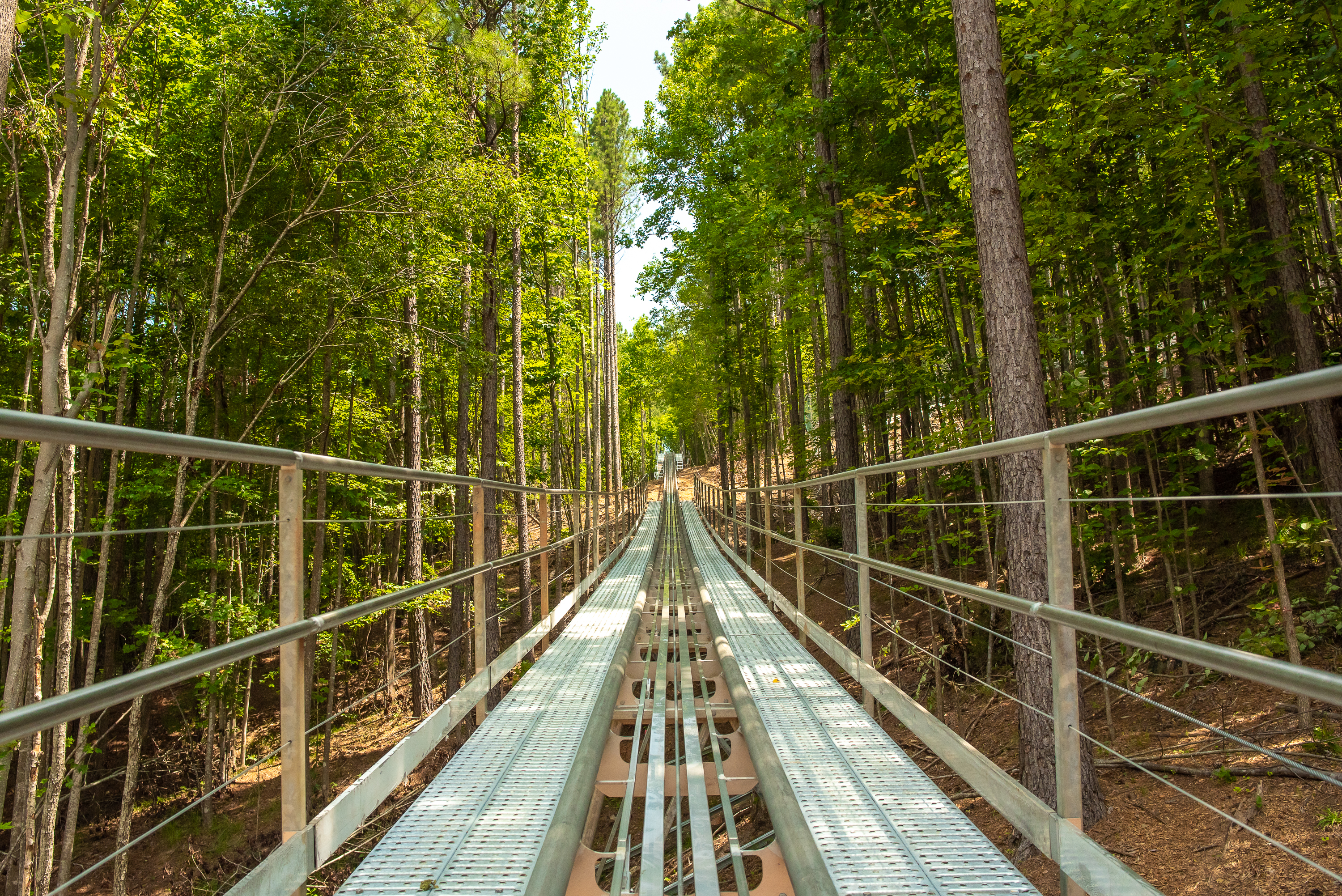 Yogi Bear's Jellystone Park™ Camp-Resort: Golden Valley