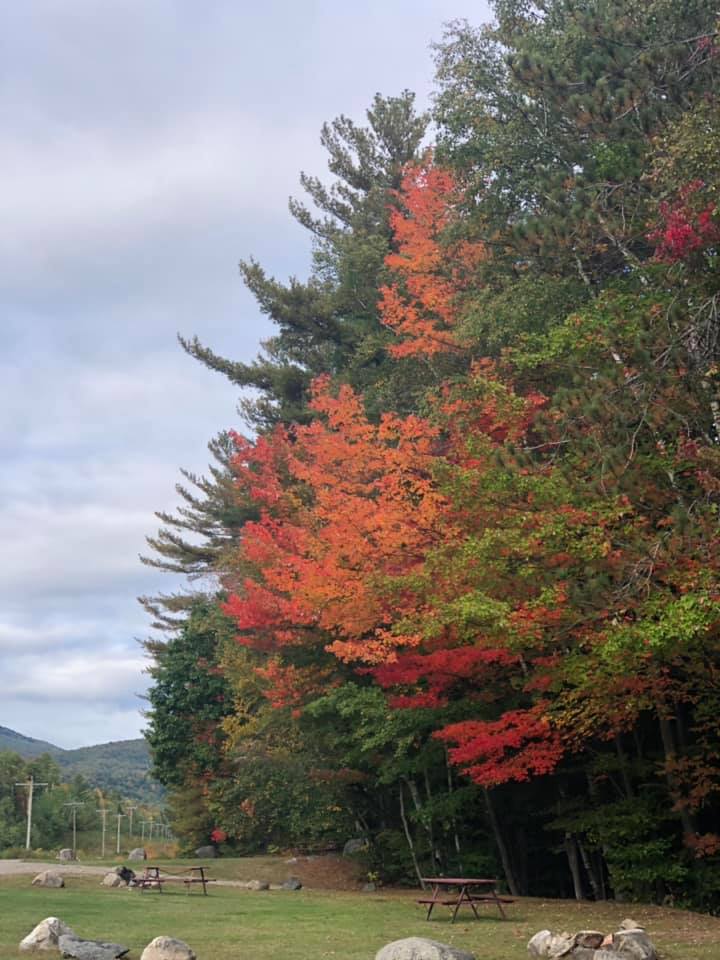 White Birches Camping Park