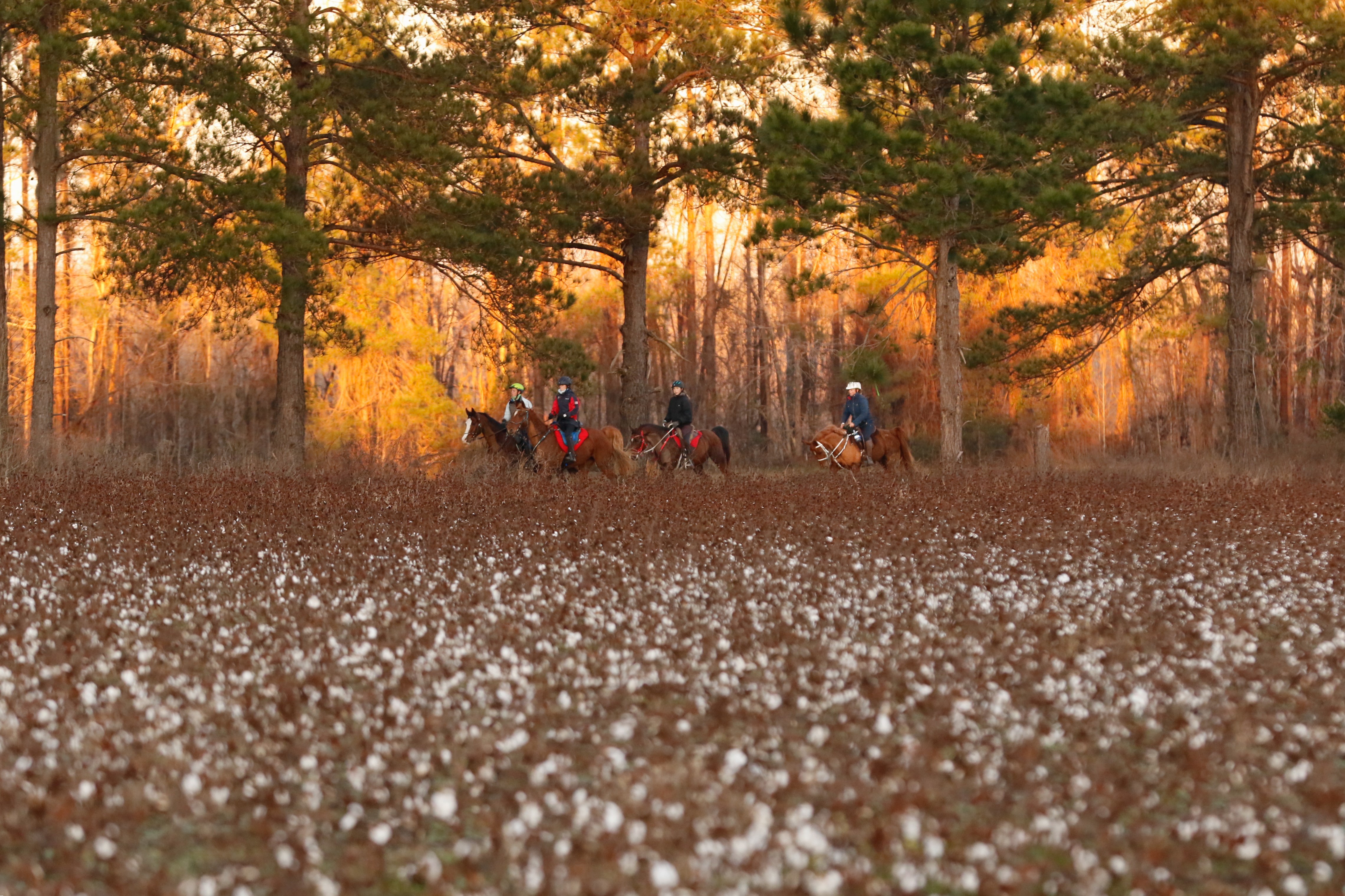 Broxton Bridge Campgrounds, Ehrhardt, South Carolina