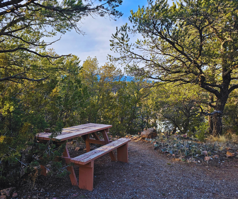 Albuquerque Tijeras Mountain RV Resort, Tijeras, New Mexico