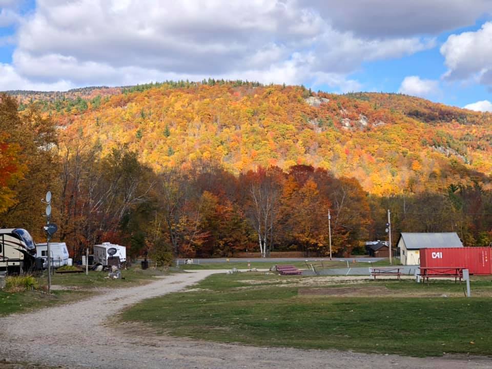 White Birches Camping Park