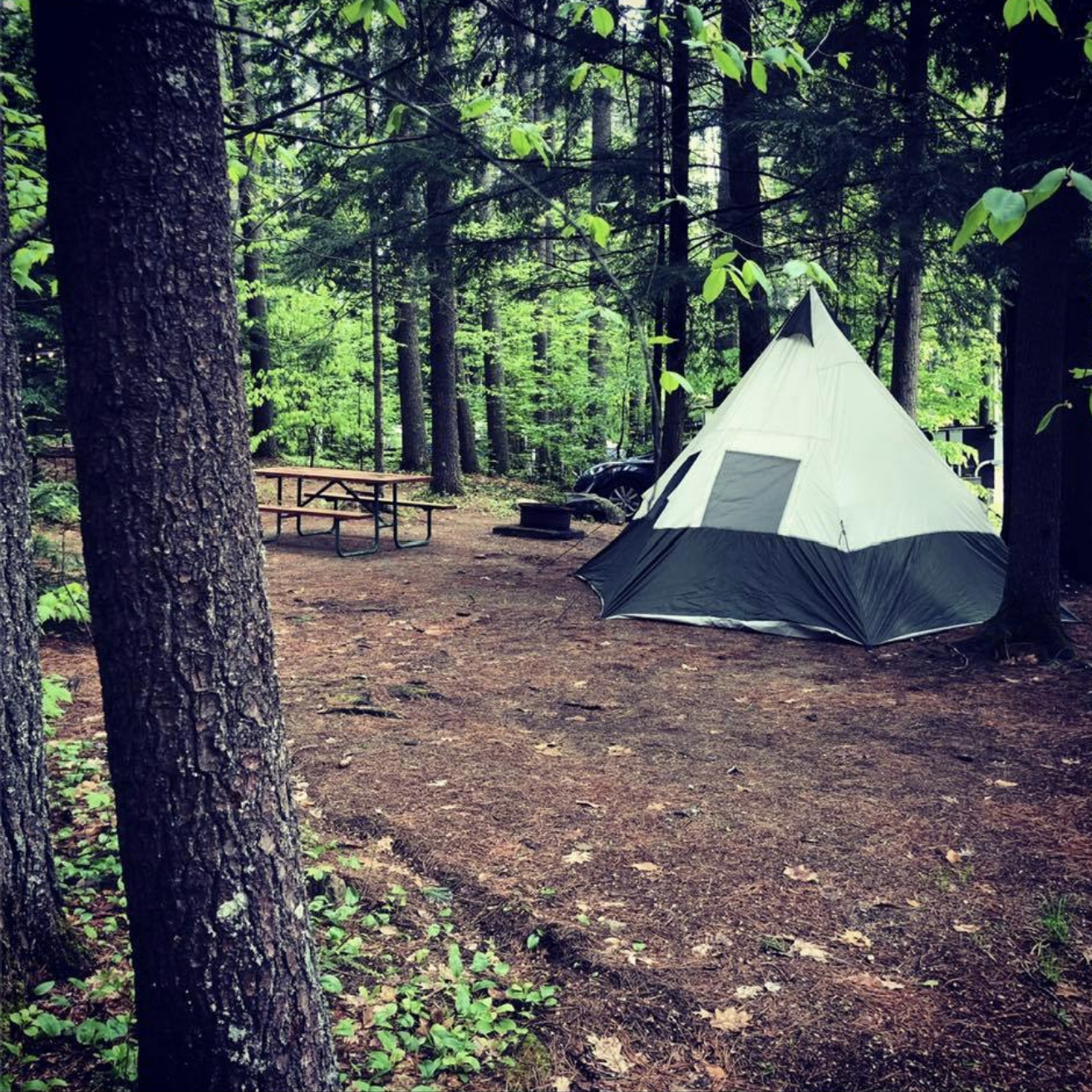 Rancho Pines Campground