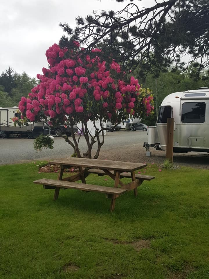 Bud's RV Park and Campground