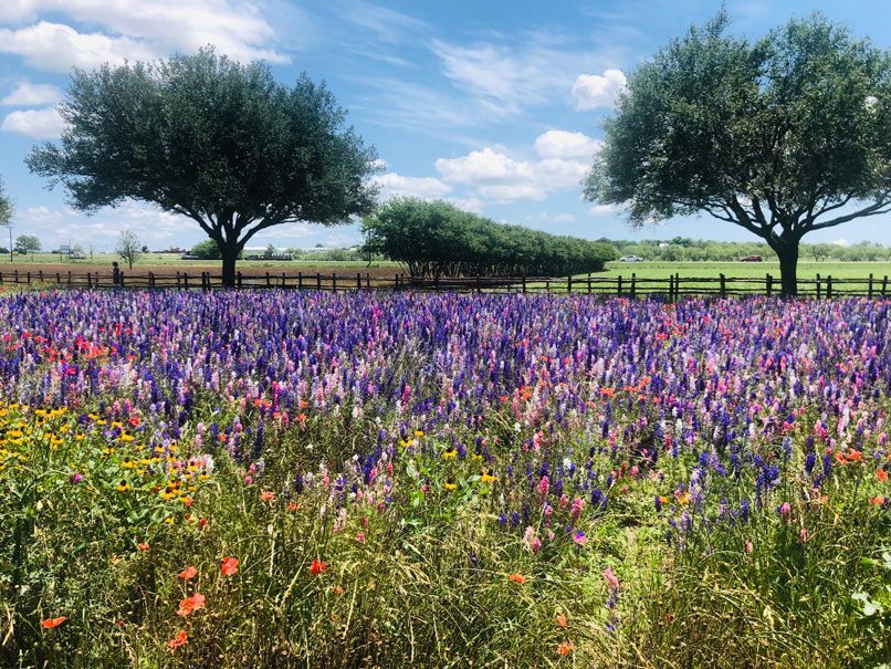 Limestone Charm RV Park