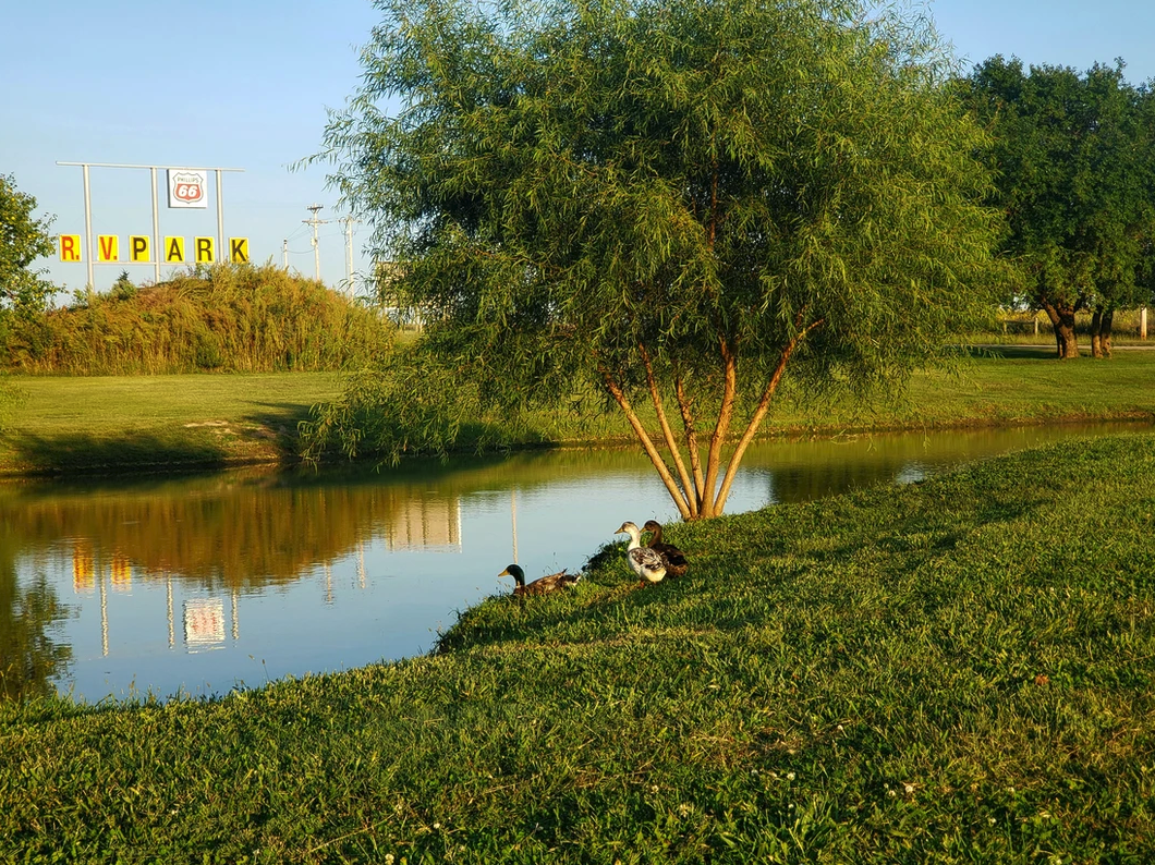 Walt's Four Seasons Campground & Country Store