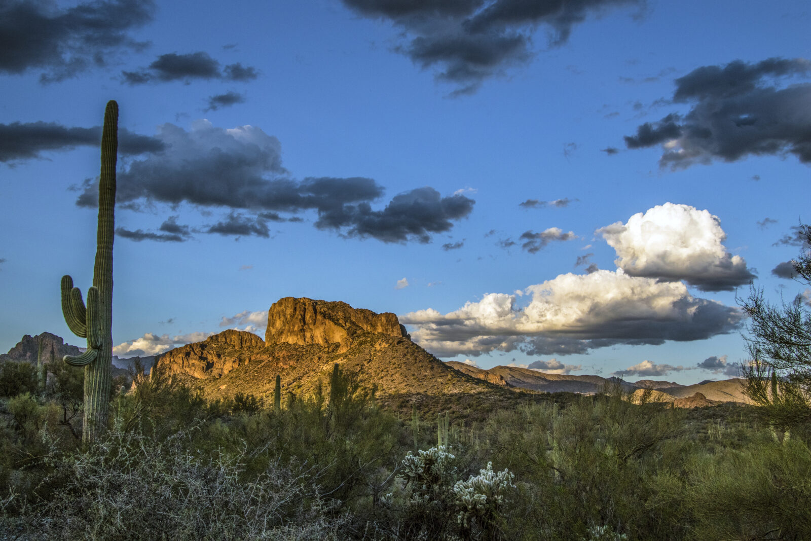 Quail Run RV Resort (Age Restricted 55+)