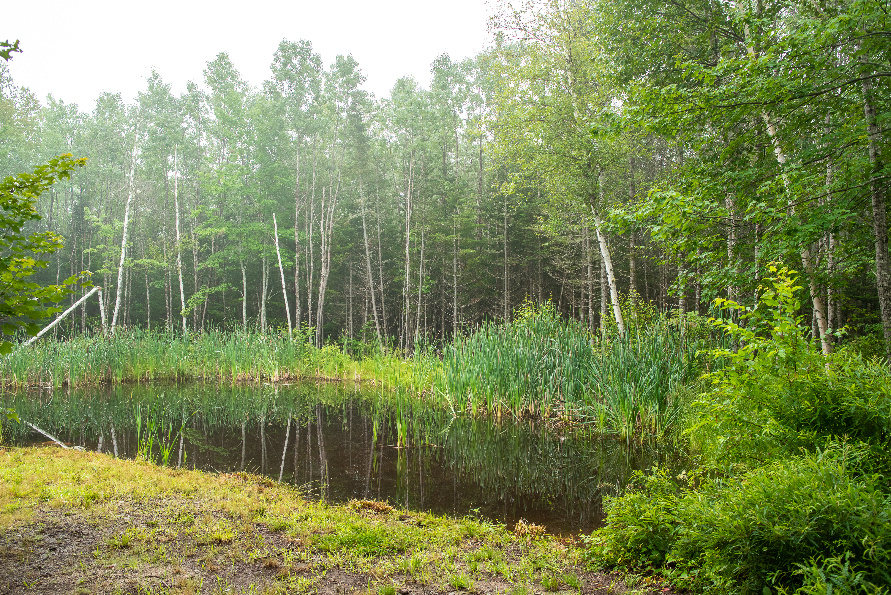 Cottonwood Camping and RV Park