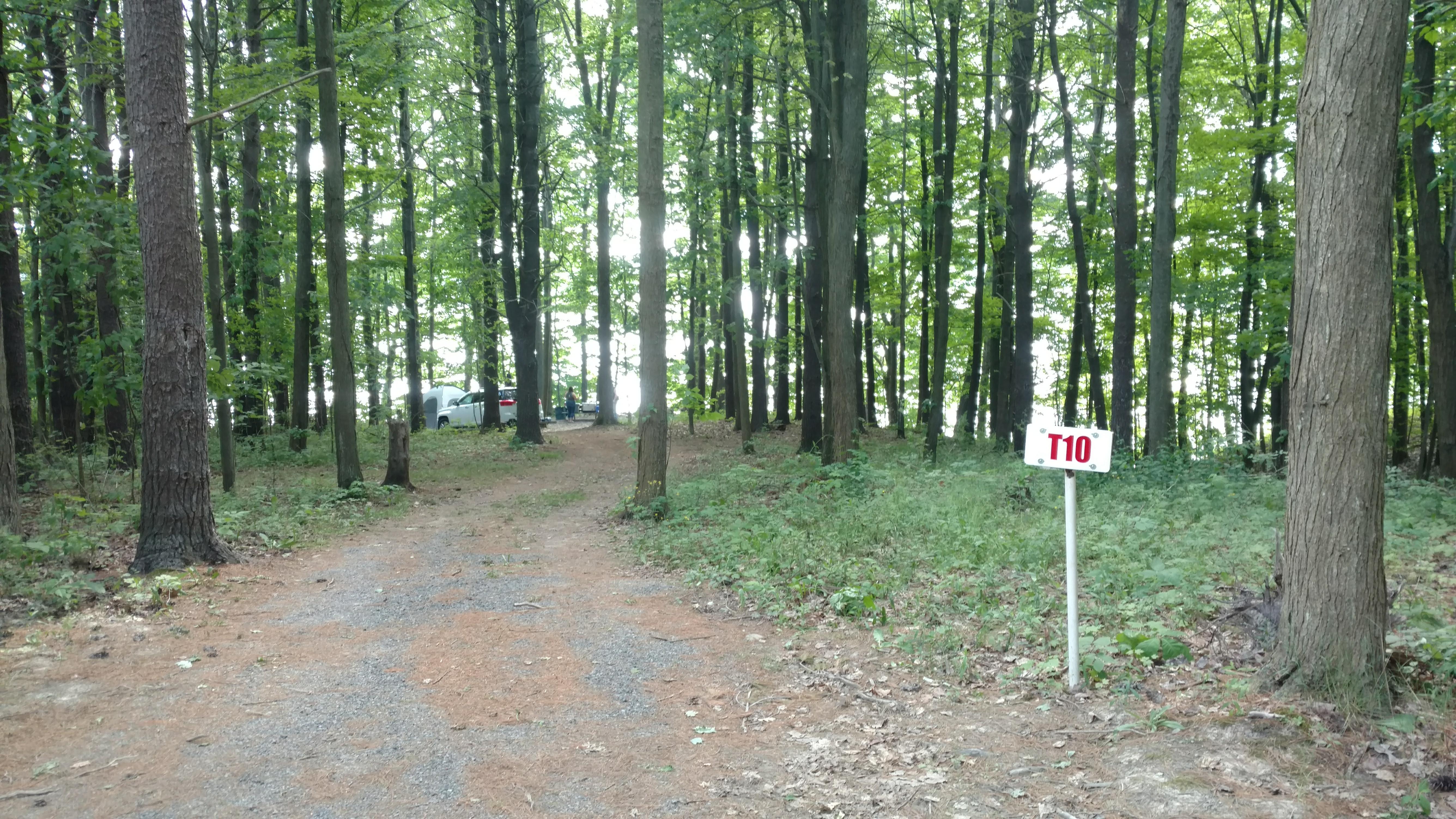 Back-Achers Campsites