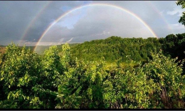 Buffalo Camp and Ride Campground