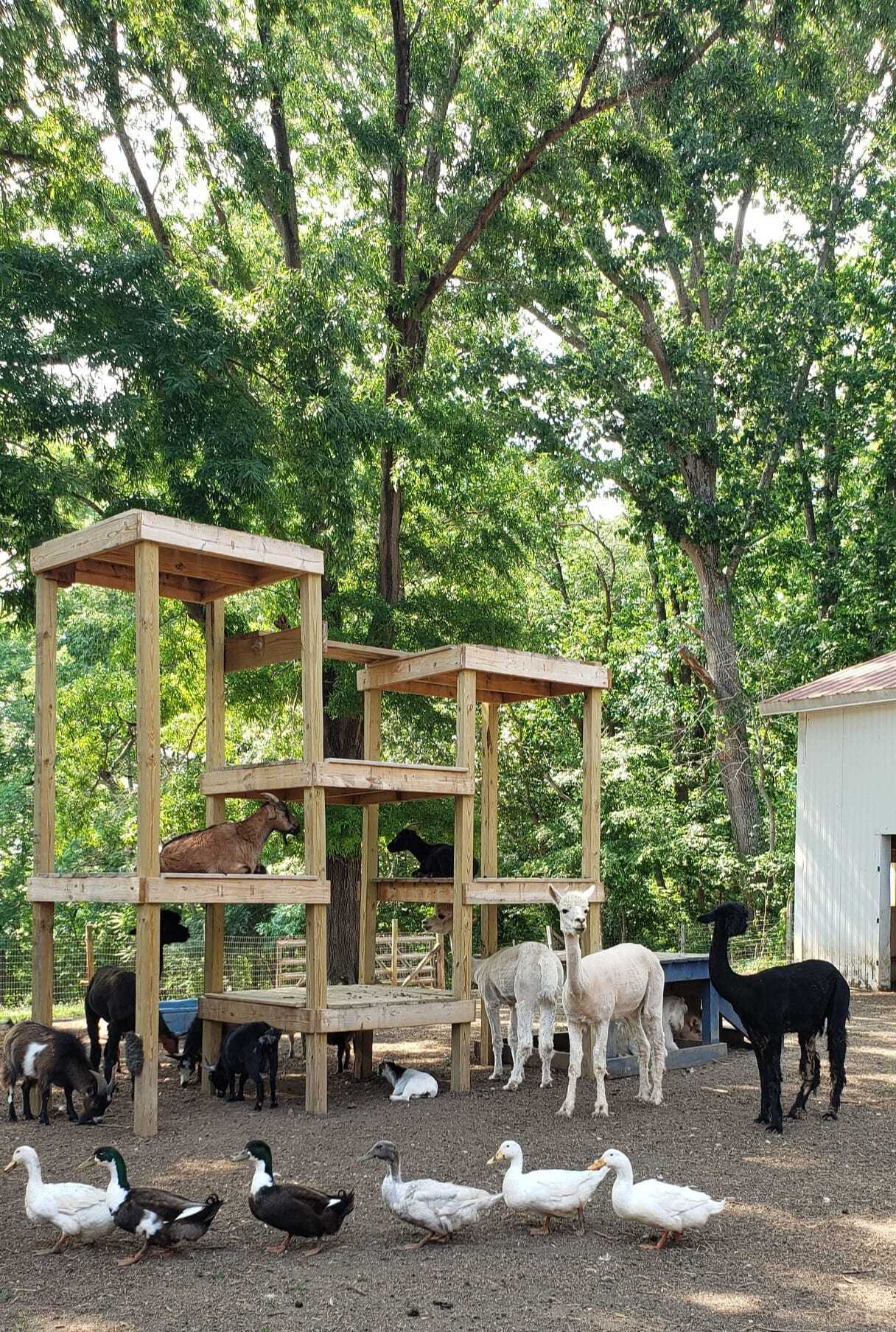 Cobble Hill Campground