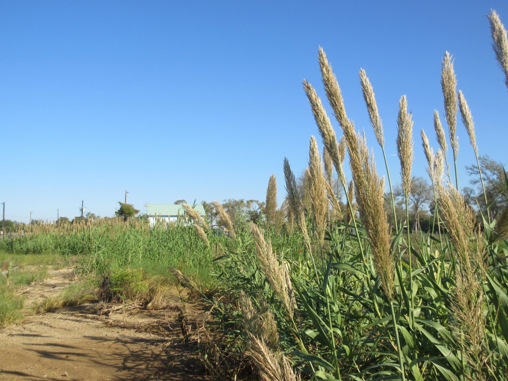 Cedar Cove RV Resort