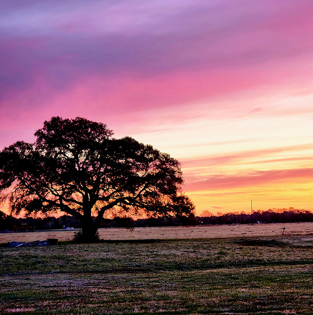 Terry's Country RV Park, Alvin, Texas