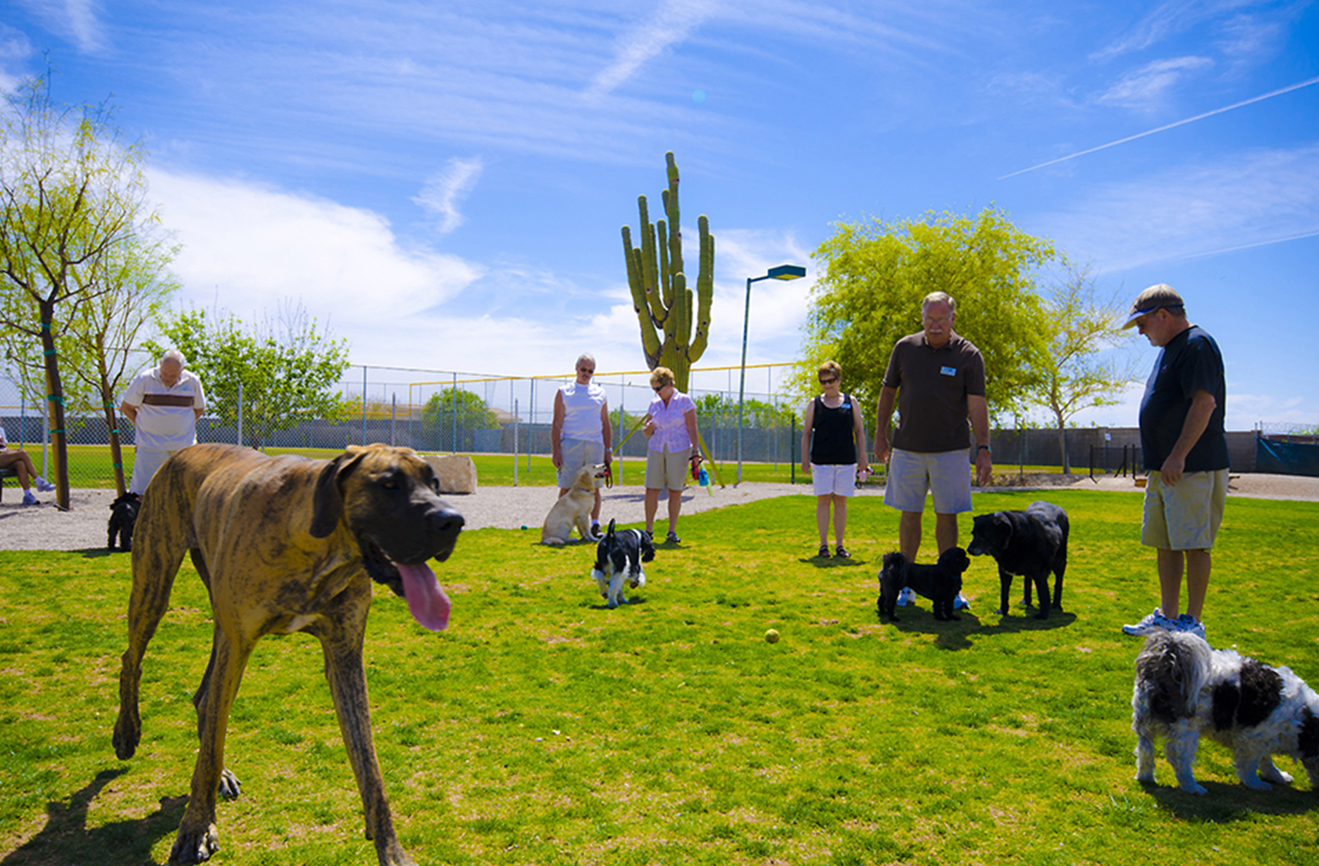 Canyon Vistas, Gold Canyon, Arizona