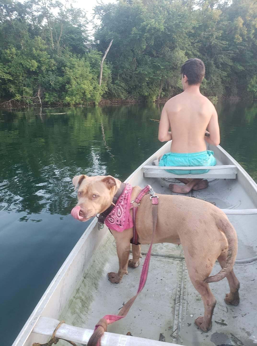 Lake Louise RV Resort