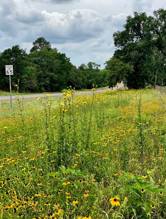 Birthplace of Texas RV Park