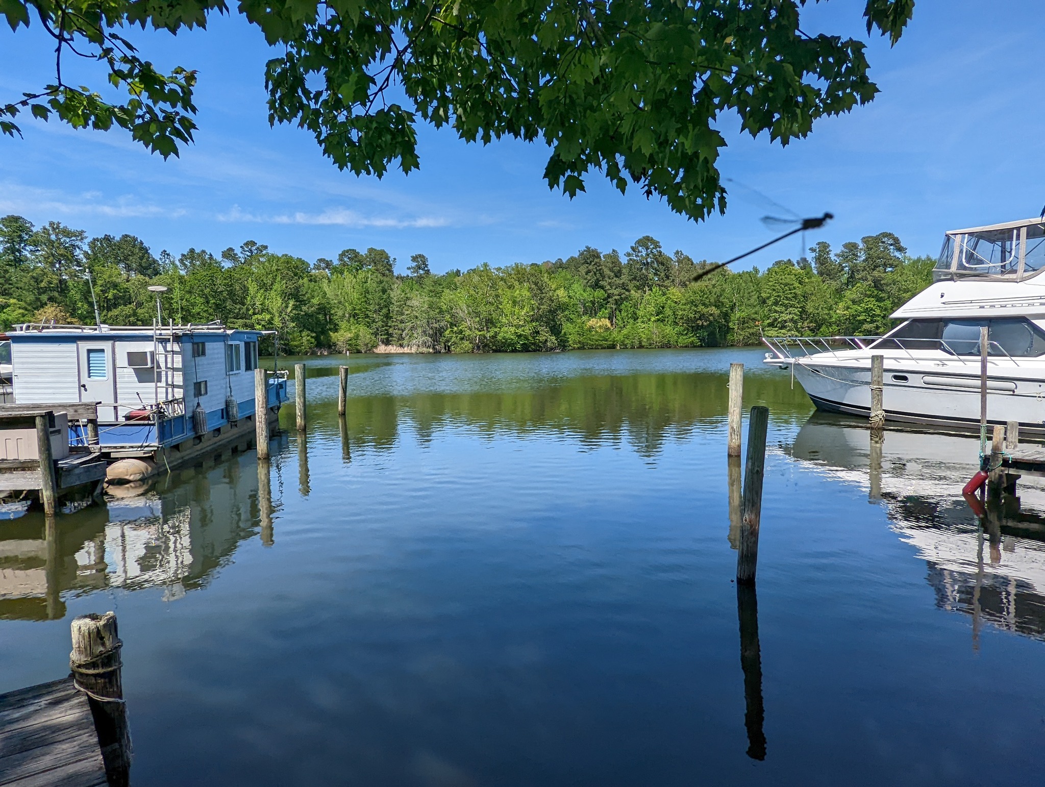 Bells Marina & Resort