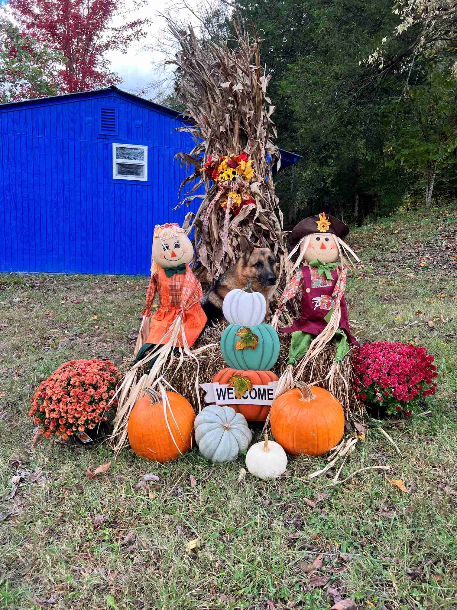 Foggy Bottom Campground, Jamestown, Kentucky