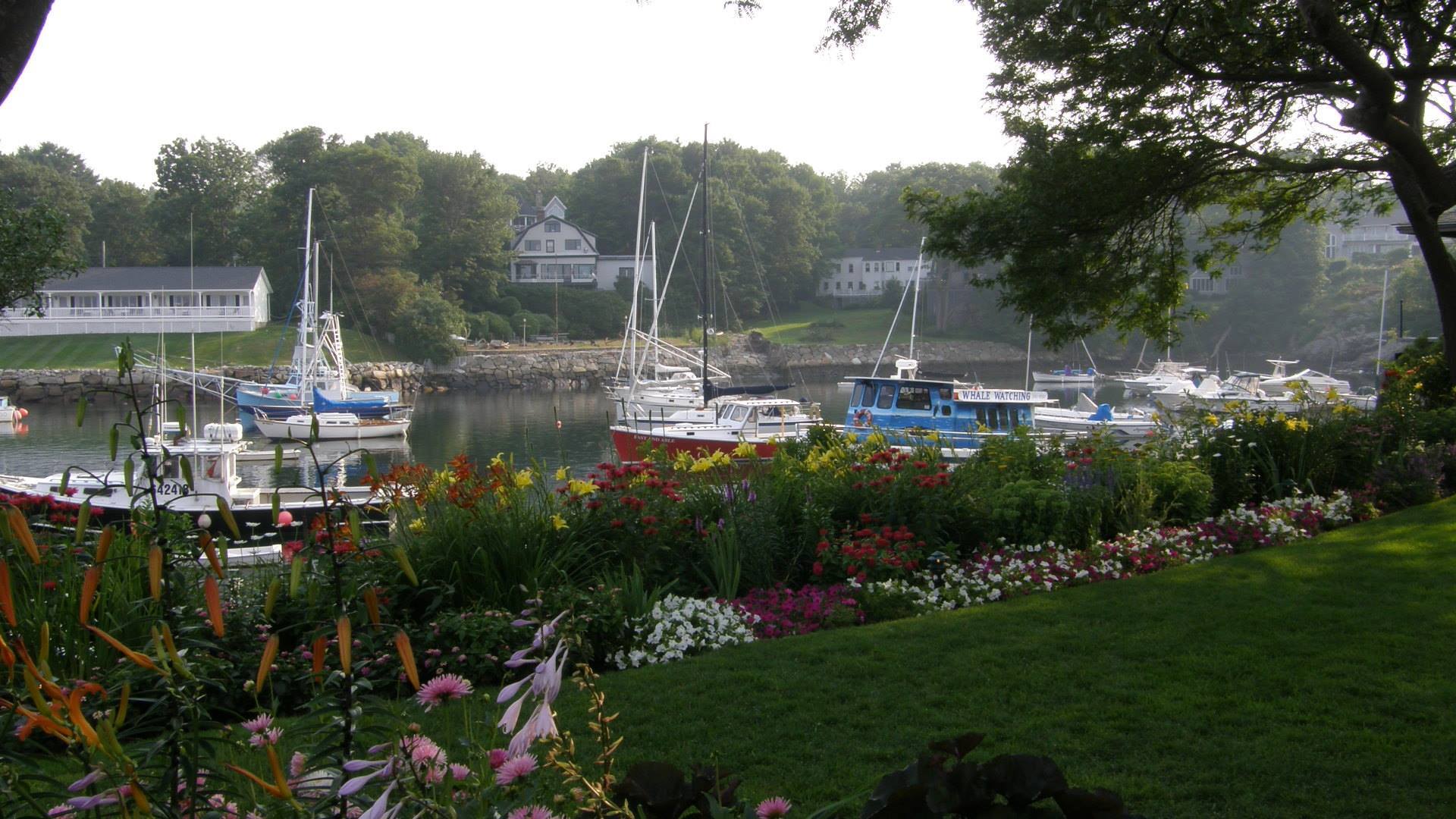 Pinederosa Campground