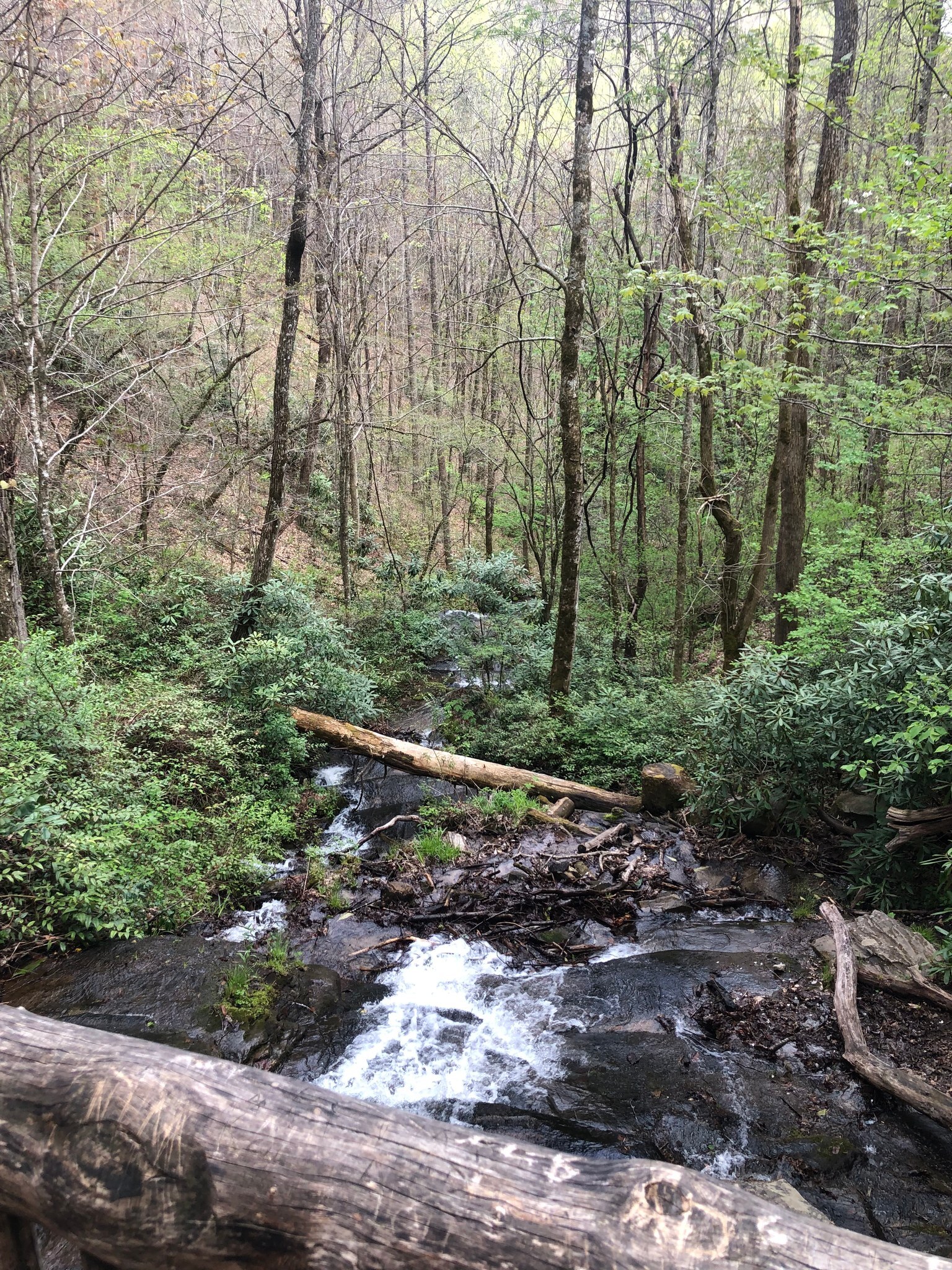 Smoky Mountain Campground