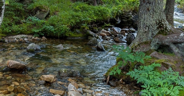 Nantahala RV Resort & Campground