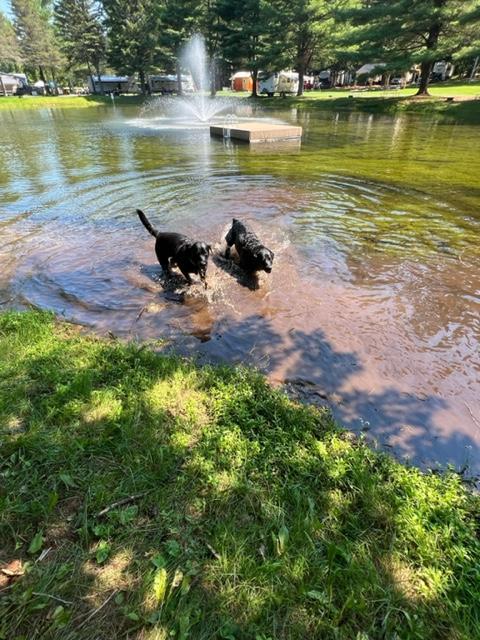 Pine Hollow Campground, Pownal, Vermont