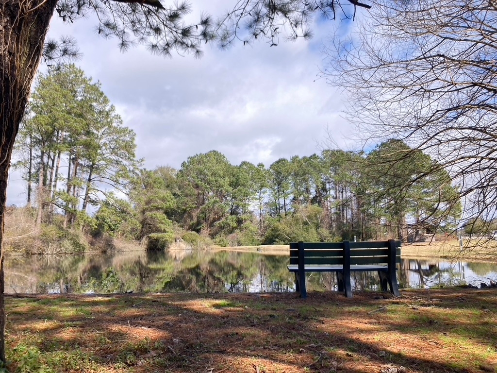 Palmetto Shores RV Resort, Summerton, South Carolina