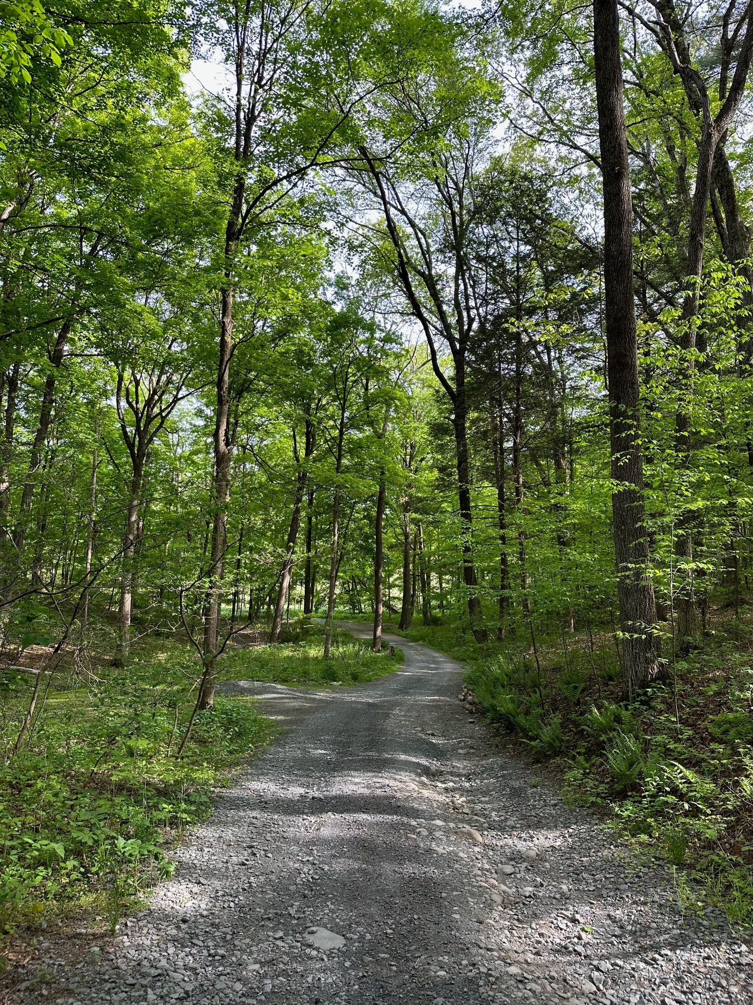 Dingmans Campground, Dingmans Ferry, Pennsylvania