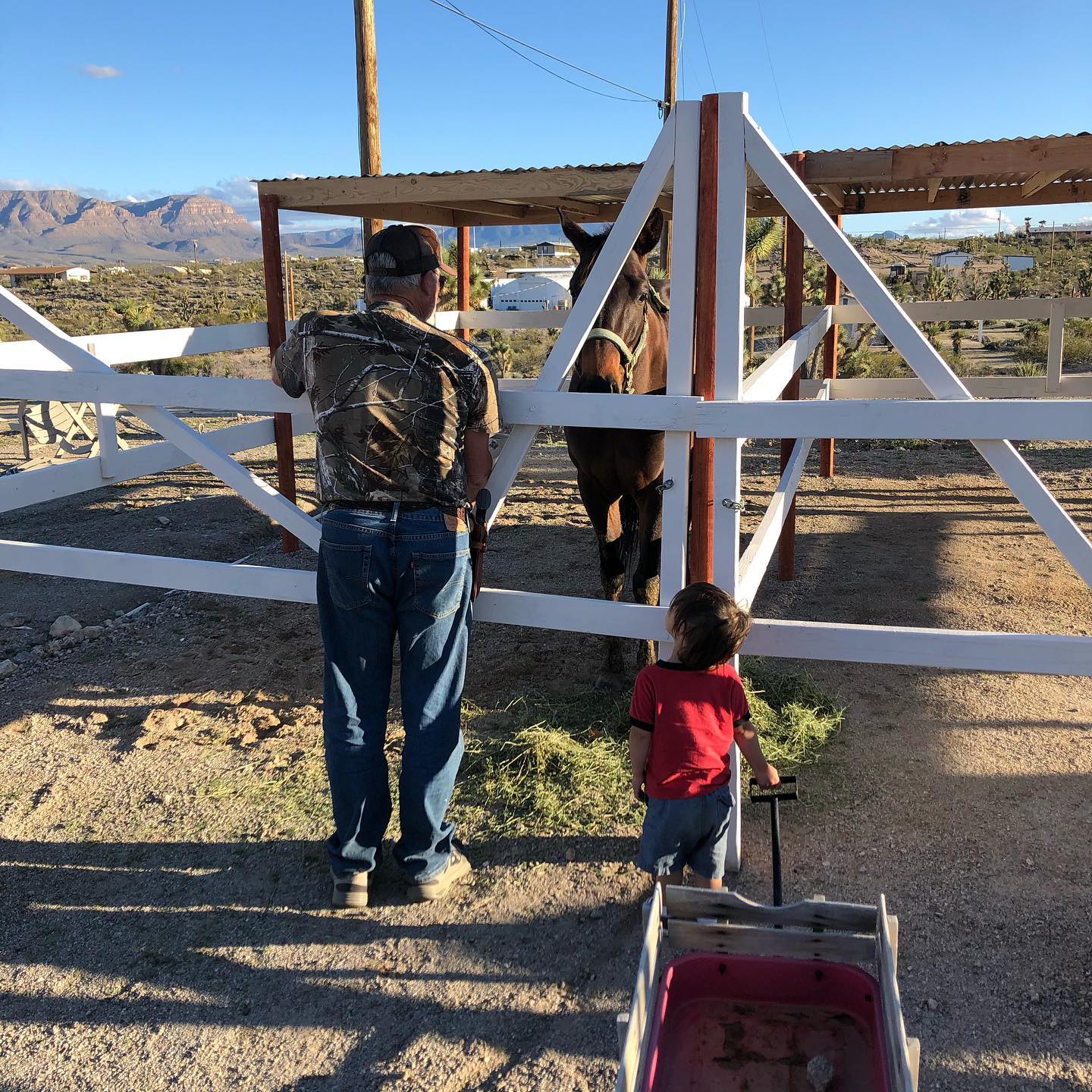 Happy Trails Campground, Meadview, Arizona