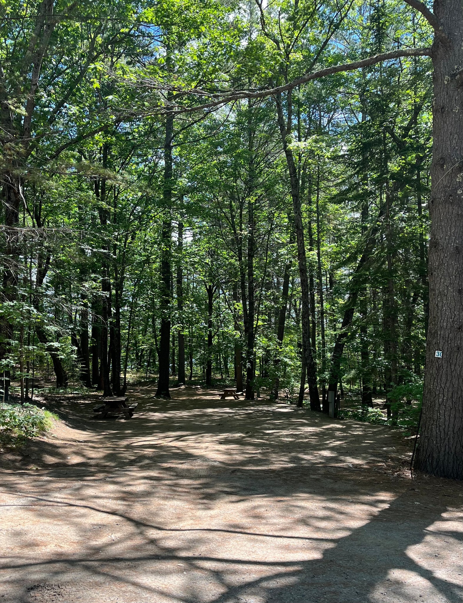 Poland Spring Campground