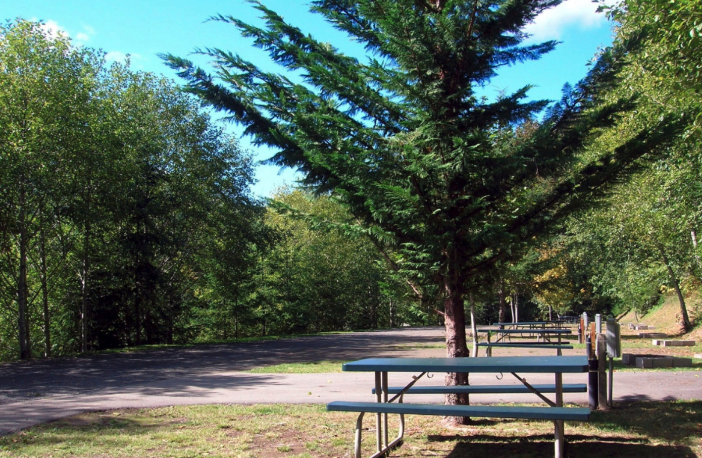 Shadow Mountain RV Park