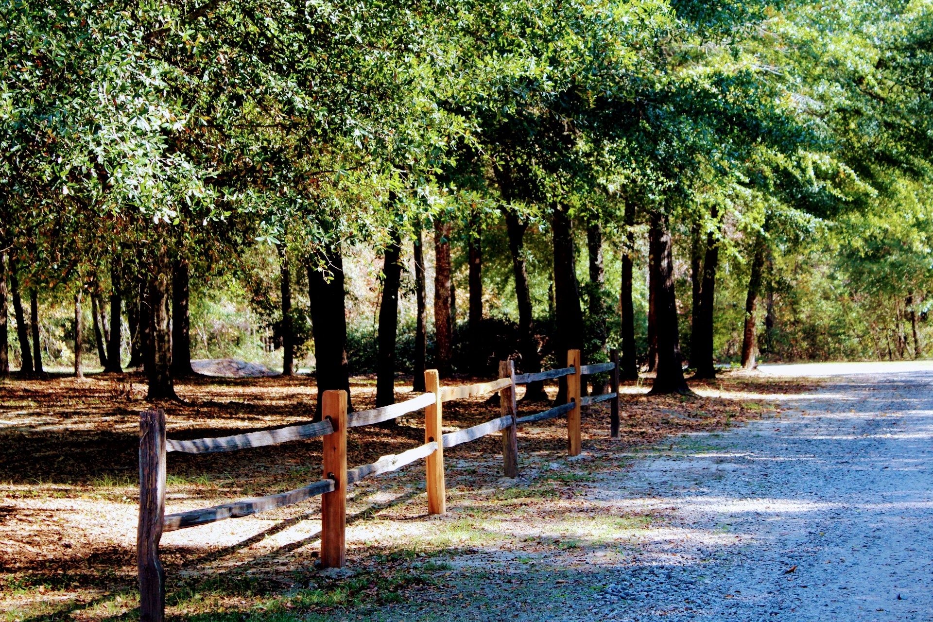 Riverwoods RV Park, Waynesboro, Georgia
