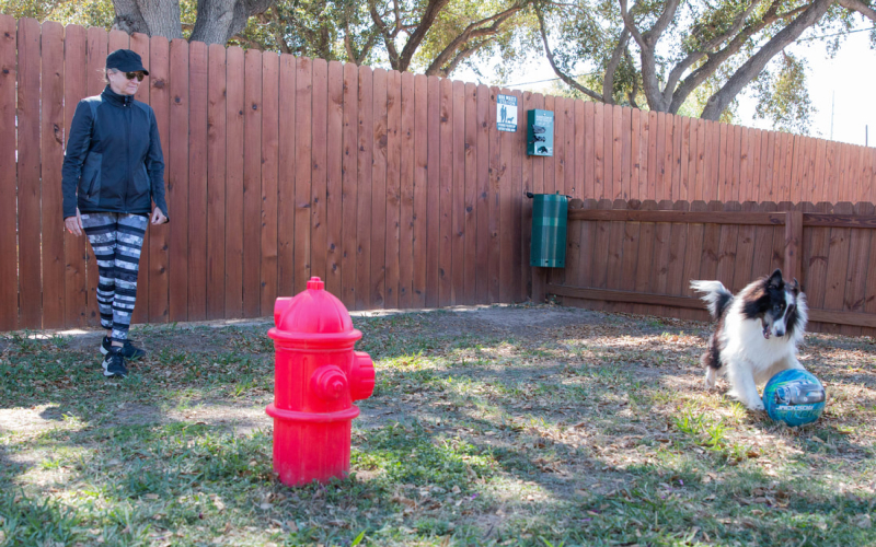 McAllen Mission RV Resort, Mission, Texas