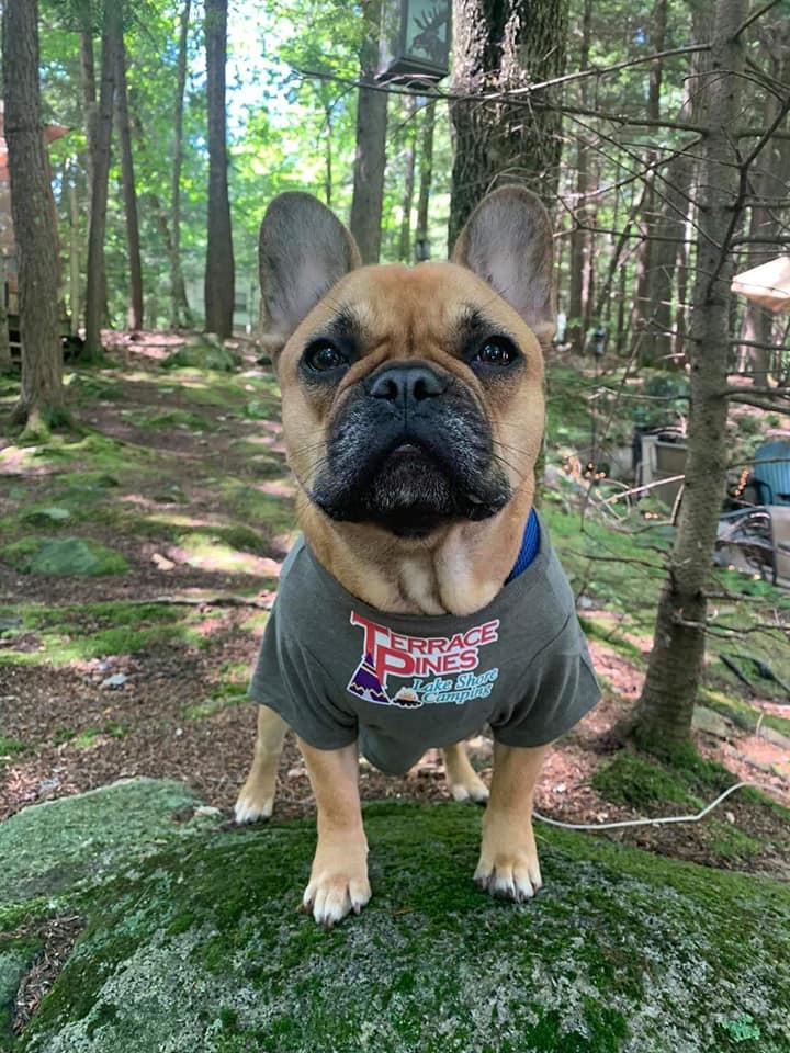 Terrace Pines Campground