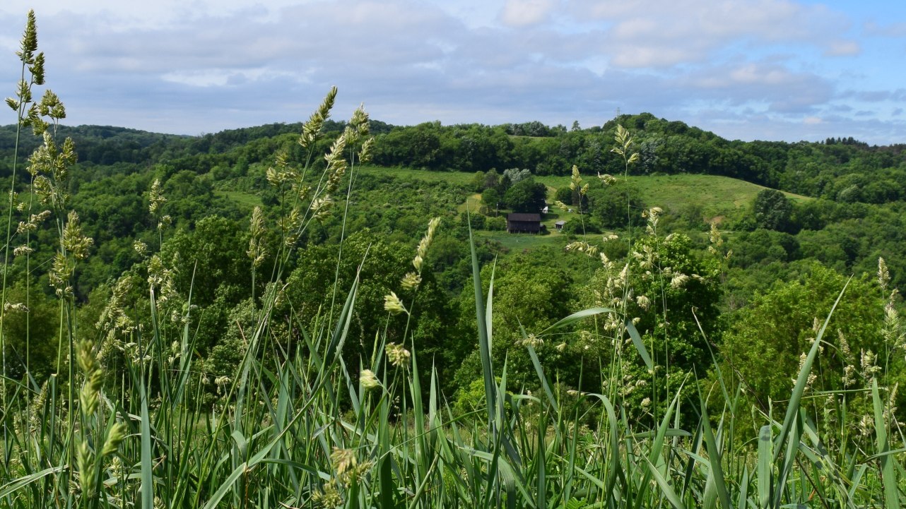 Mountain Top RV Campground